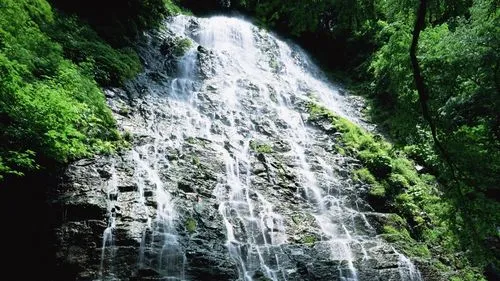全自动智能高端